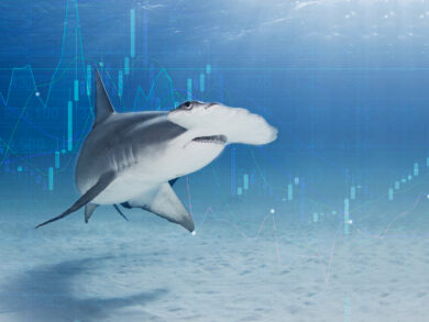 Shark with chart